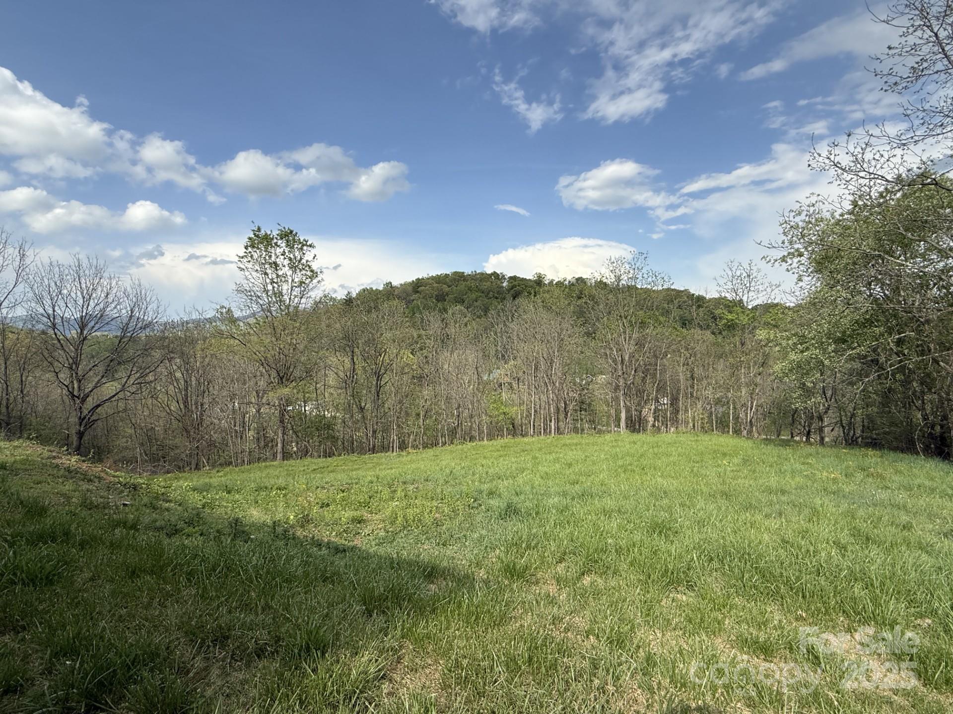 284 Northridge Drive Canton NC 28716