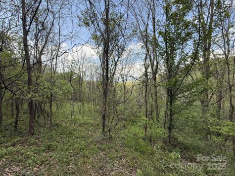 284 Northridge Drive Canton NC 28716