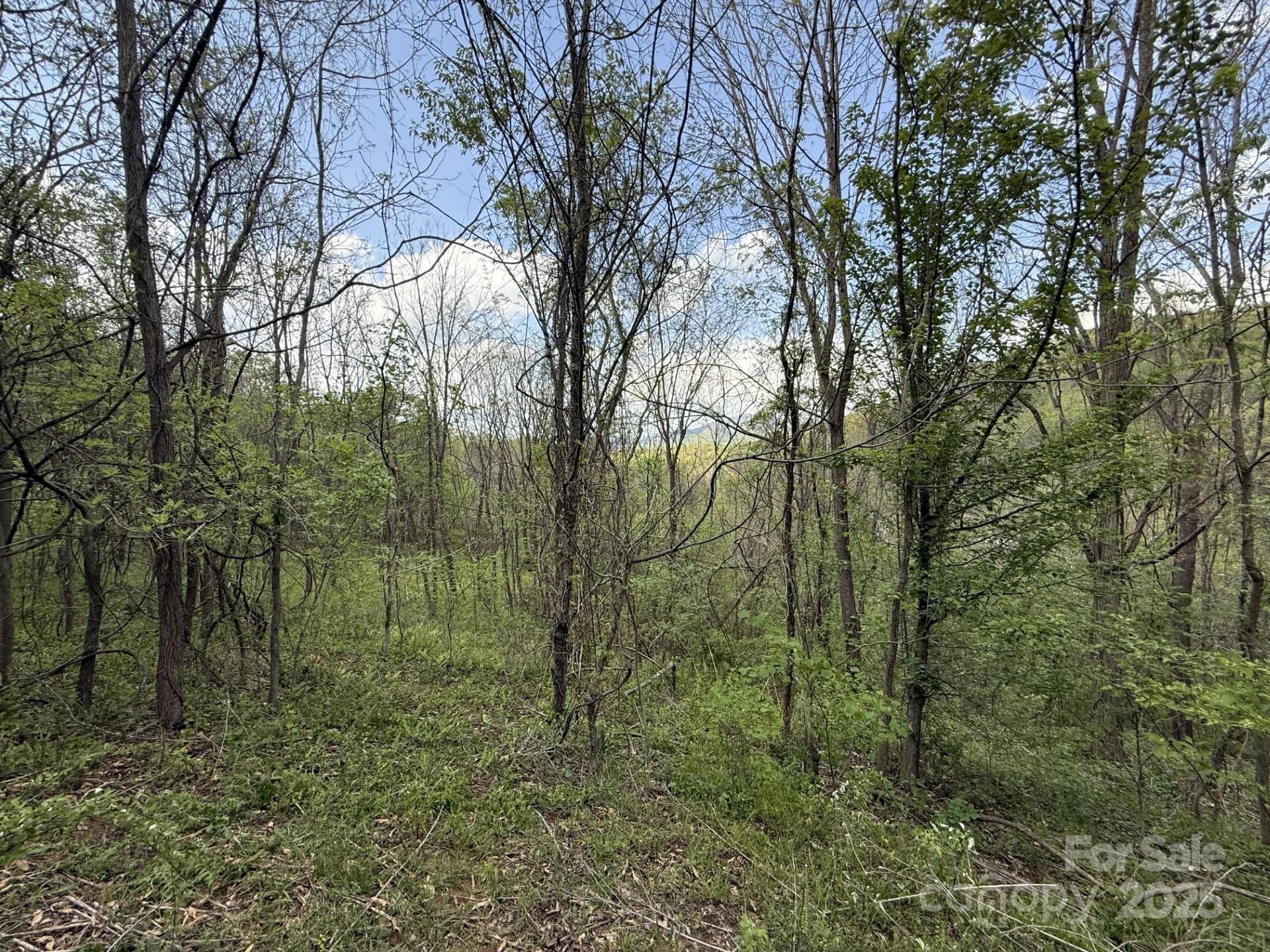 284 Northridge Drive Canton NC 28716