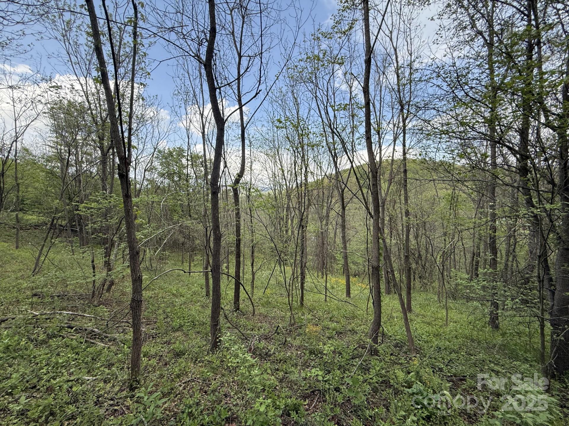 284 Northridge Drive Canton NC 28716