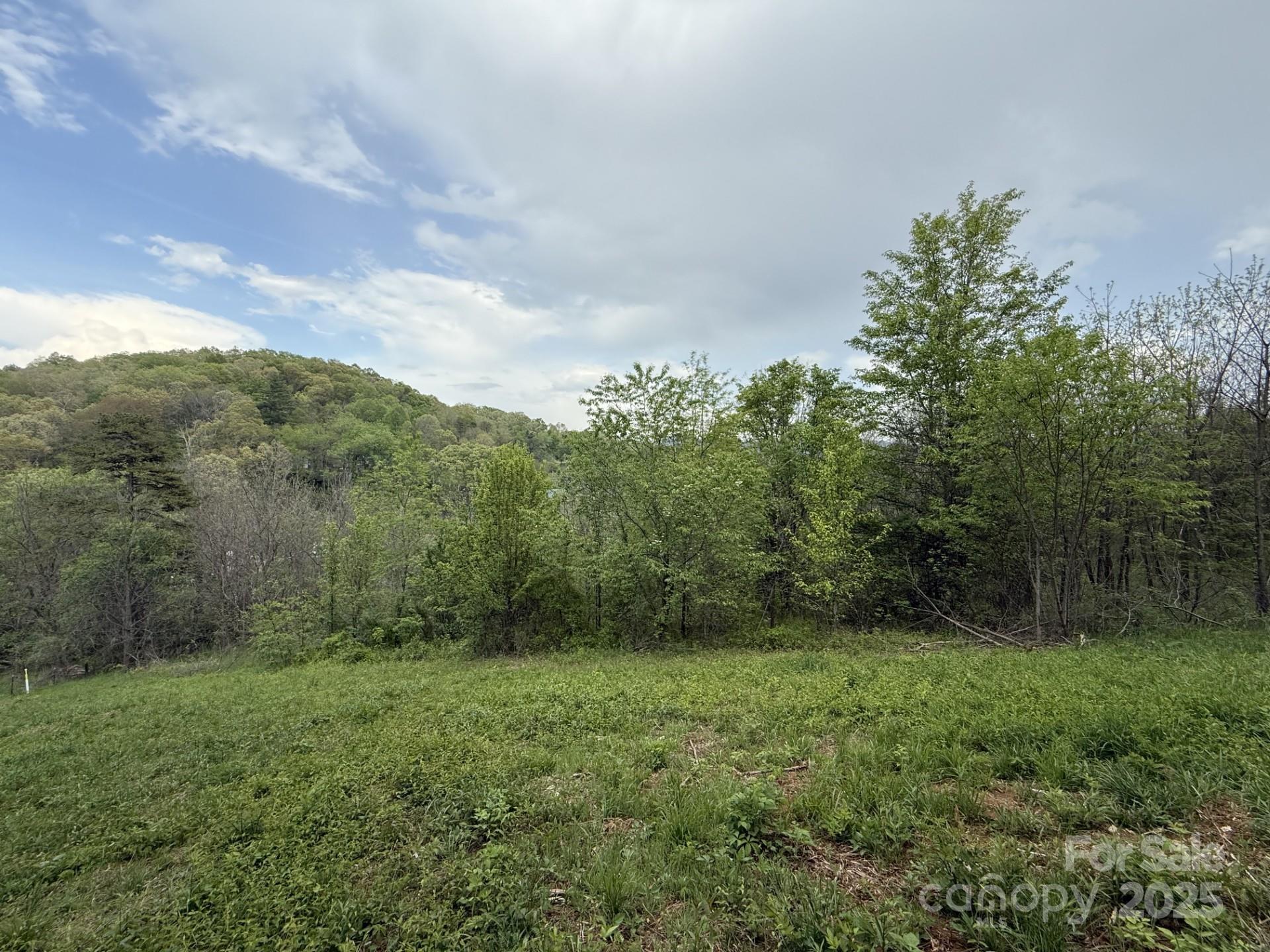 284 Northridge Drive Canton NC 28716