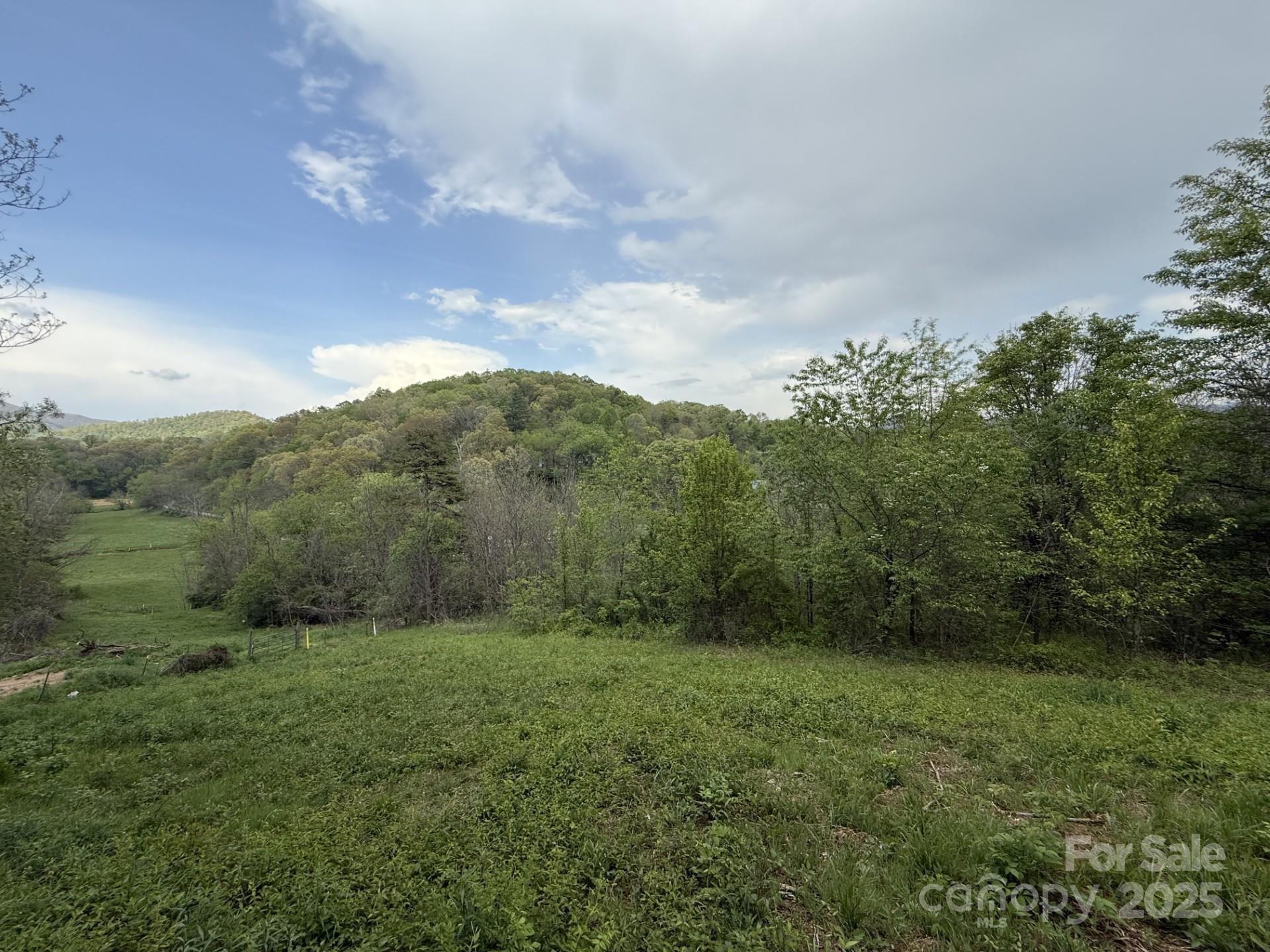 284 Northridge Drive Canton NC 28716