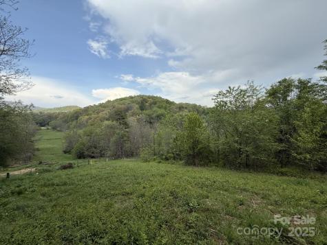 284 Northridge Drive Canton NC 28716