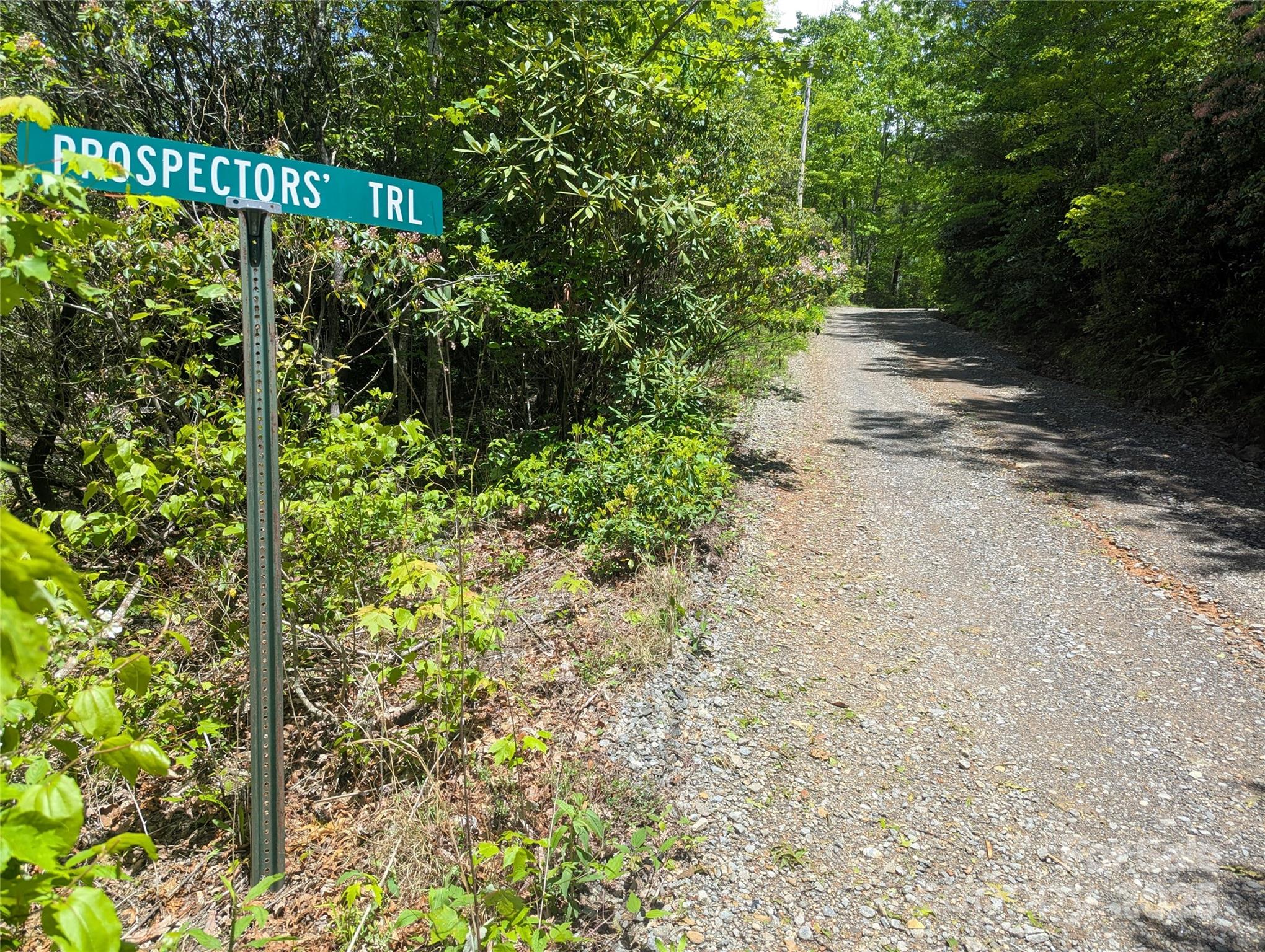 99999 Prospectors Trail Black Mountain NC 28711