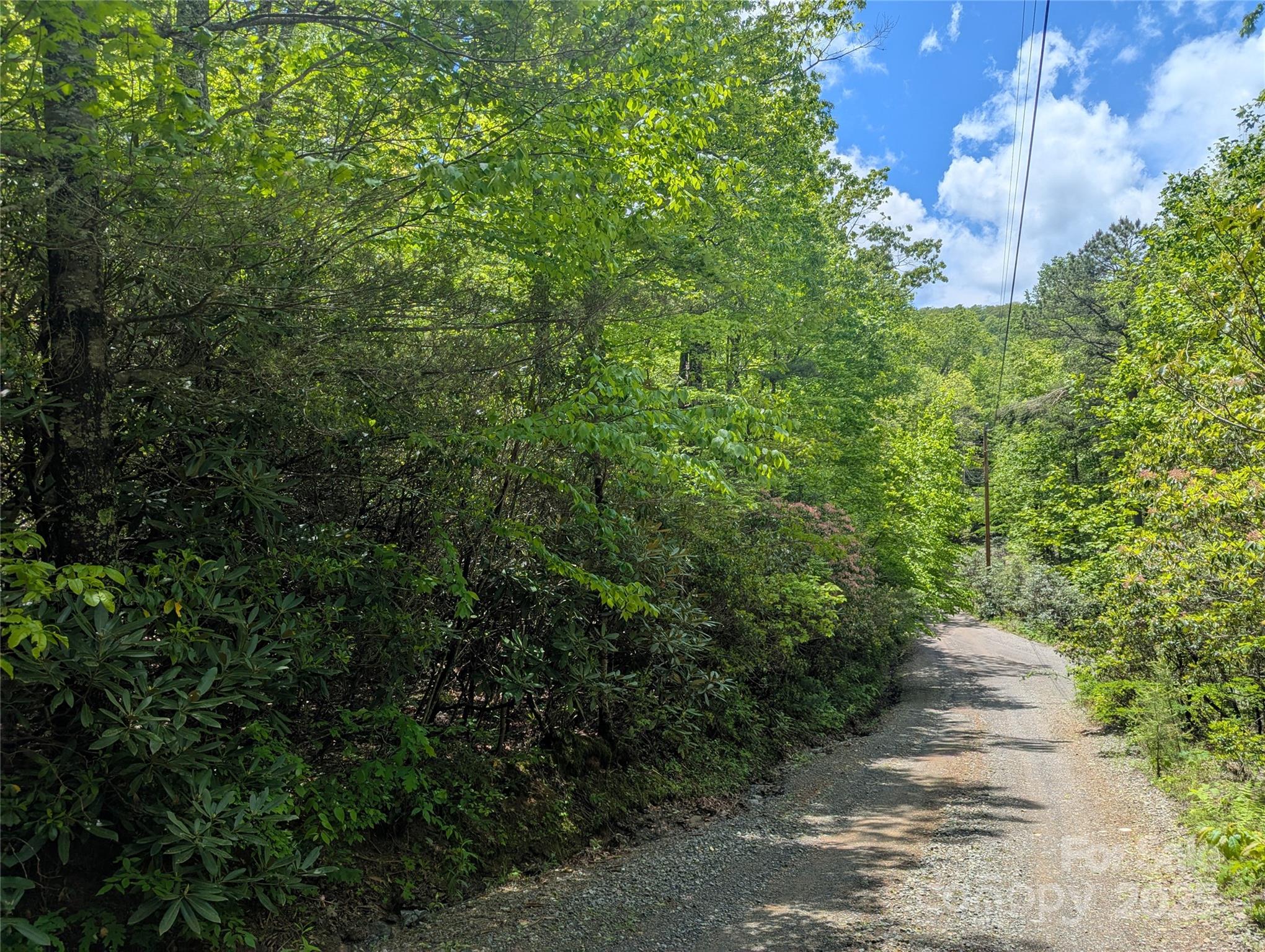 99999 Prospectors Trail Black Mountain NC 28711
