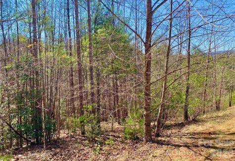 Lot 148 Rocky Falls Lane Lenoir NC 28645