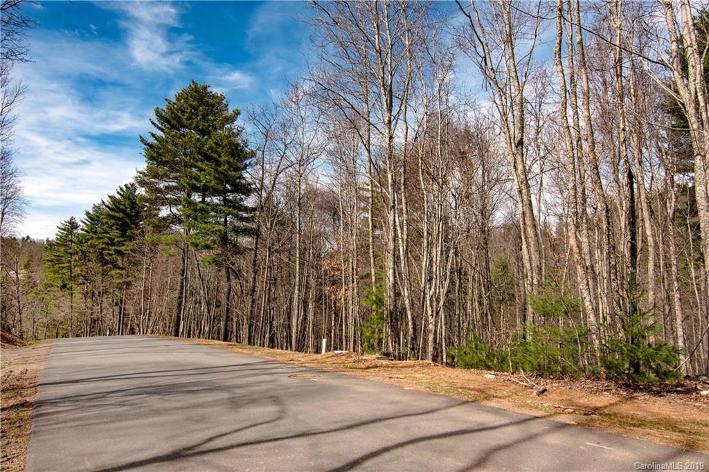 15 Villa Nova Drive Asheville NC 28804