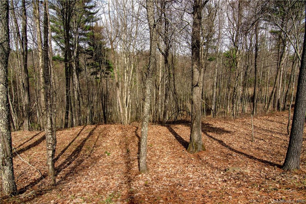 15 Villa Nova Drive Asheville NC 28804