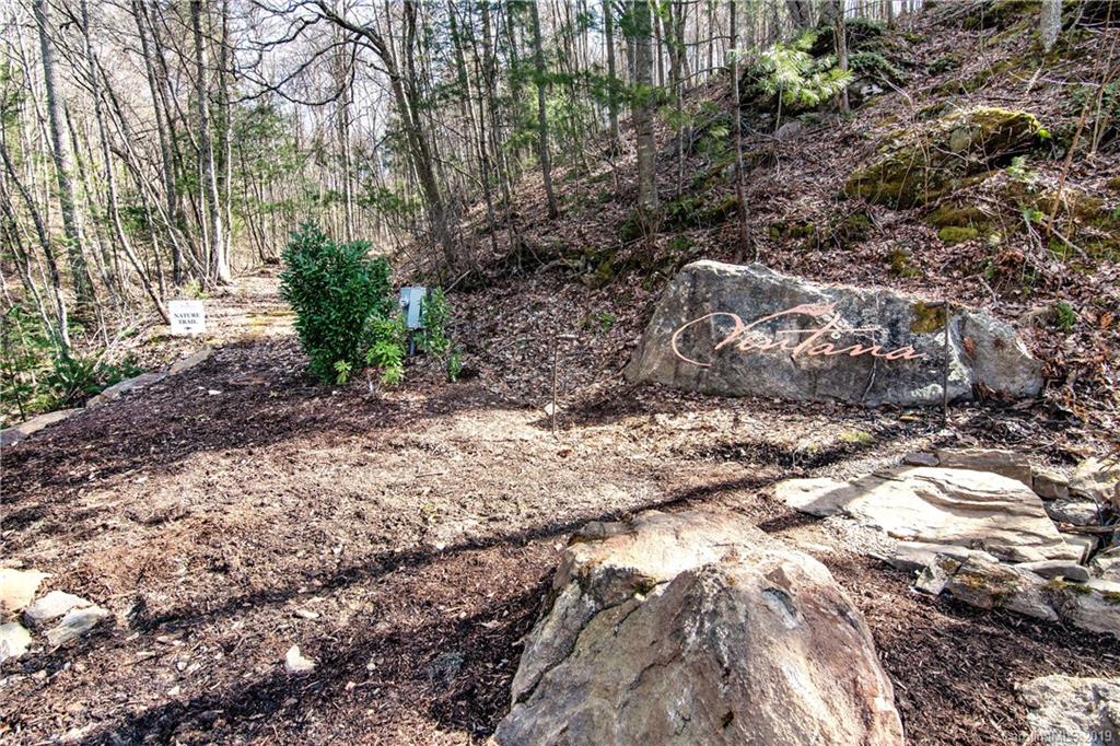 15 Villa Nova Drive Asheville NC 28804