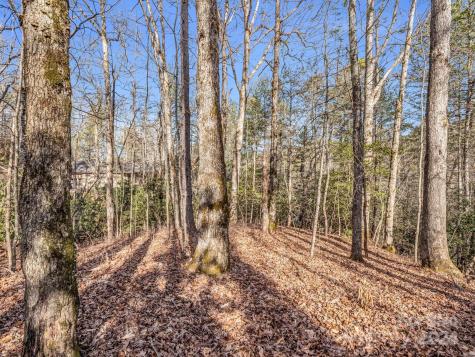 Tbd Adayahi Court Brevard NC 28712