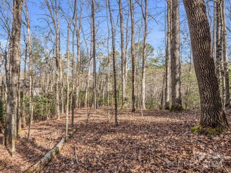 Tbd Adayahi Court Brevard NC 28712