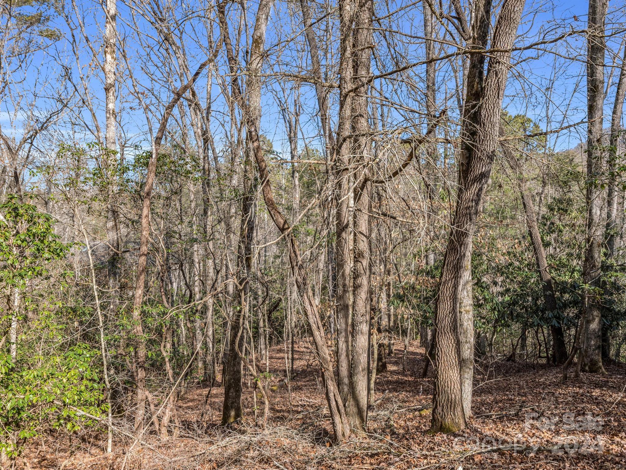 Tbd Adayahi Court Brevard NC 28712