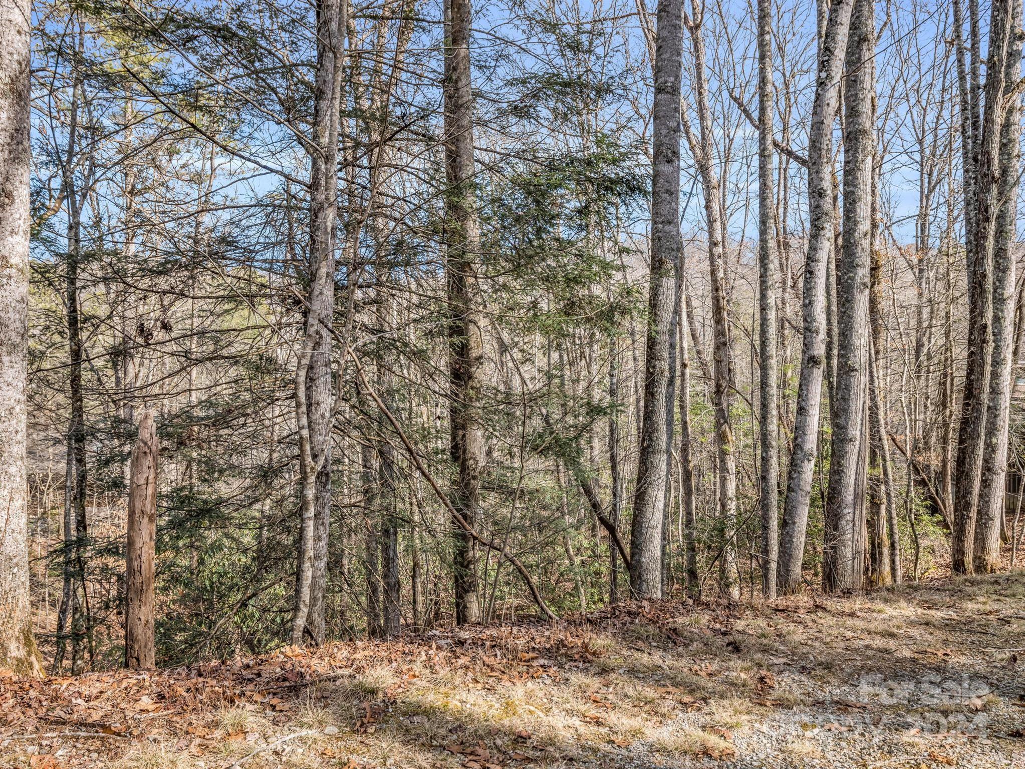 Tbd Adayahi Court Brevard NC 28712