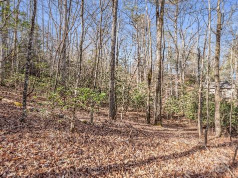 Tbd Adayahi Court Brevard NC 28712