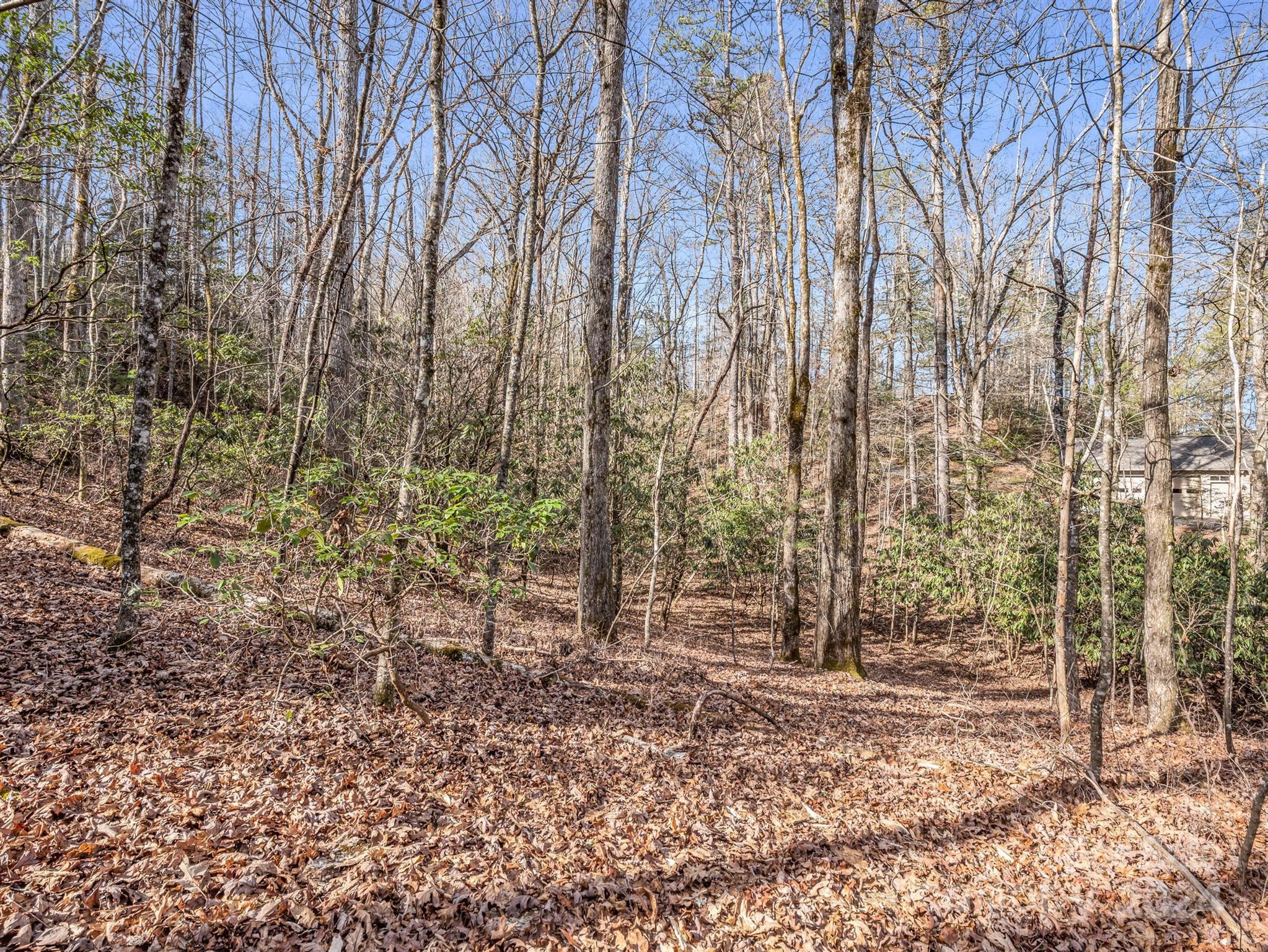 Tbd Adayahi Court Brevard NC 28712