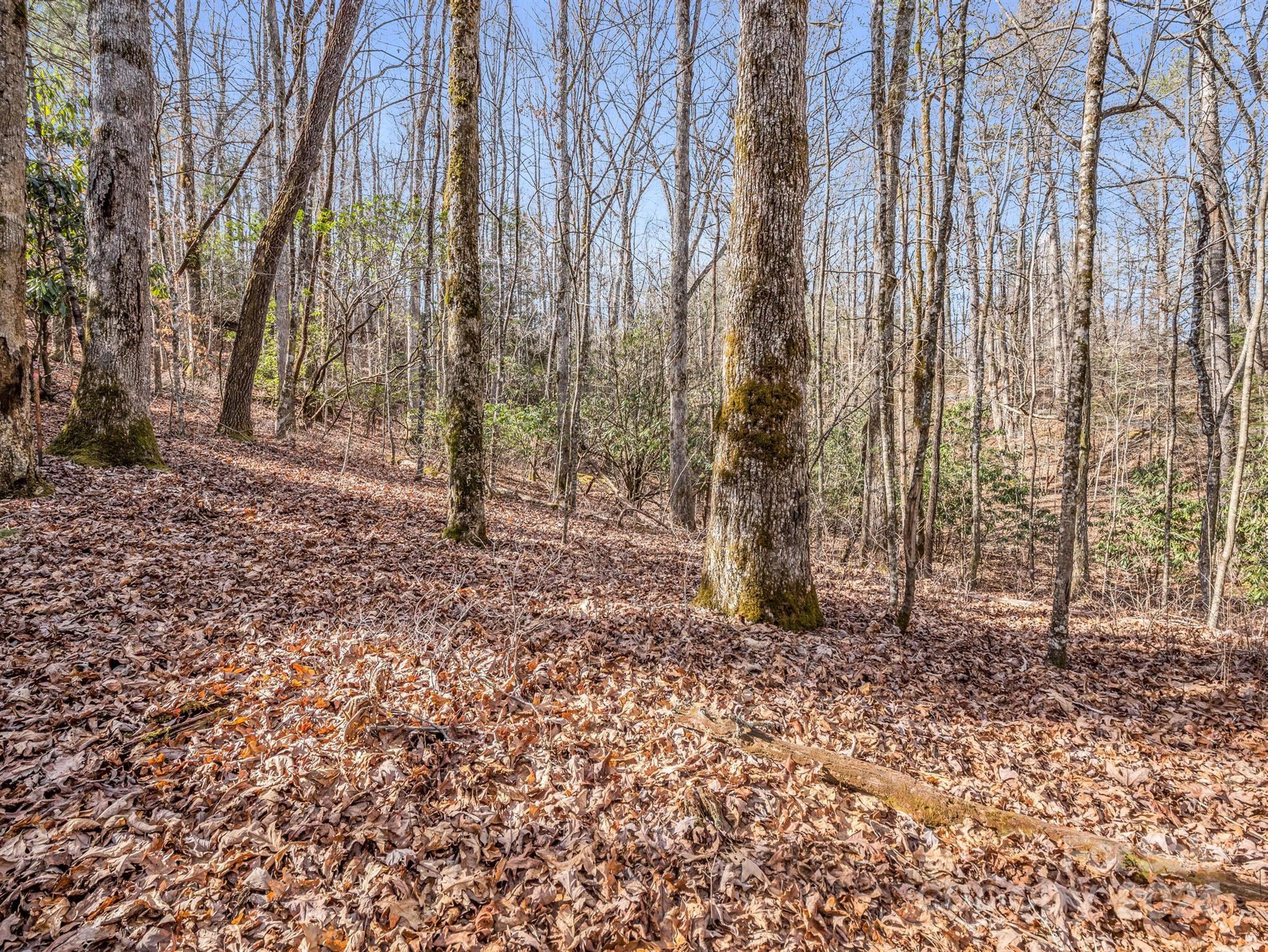 Tbd Adayahi Court Brevard NC 28712