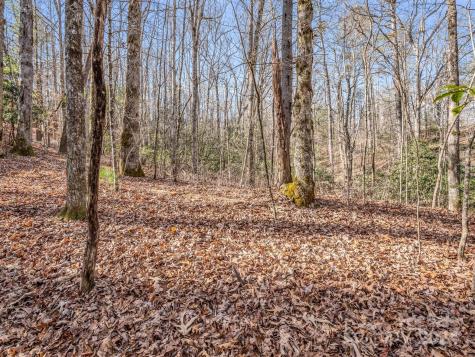 Tbd Adayahi Court Brevard NC 28712