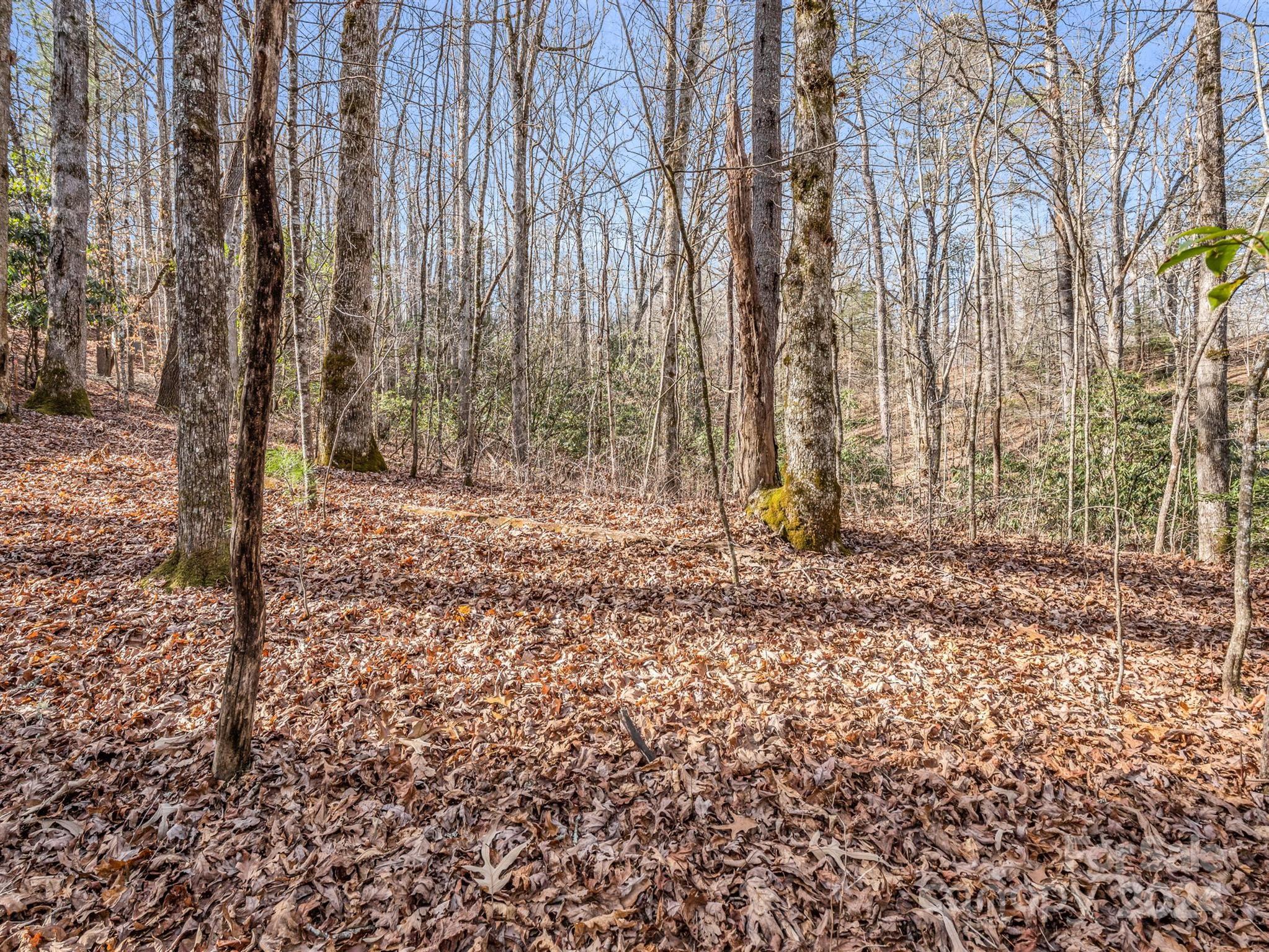 Tbd Adayahi Court Brevard NC 28712