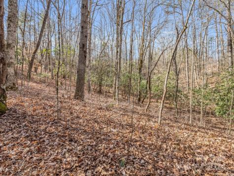 Tbd Adayahi Court Brevard NC 28712