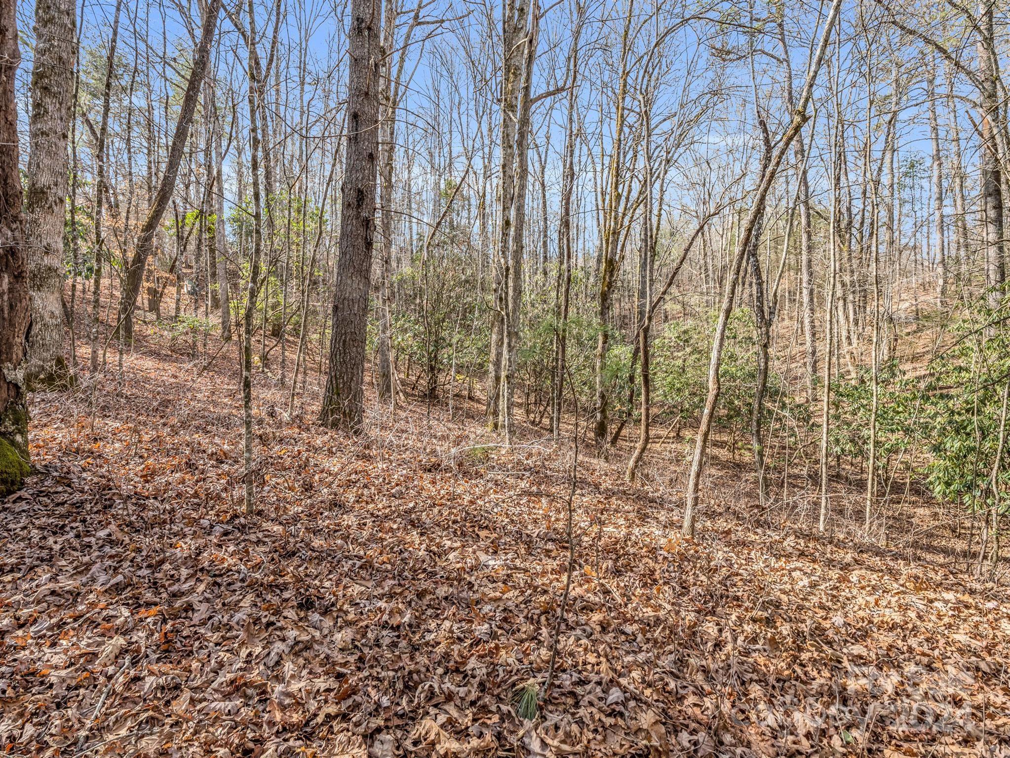 Tbd Adayahi Court Brevard NC 28712