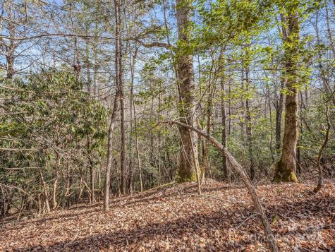 Tbd Adayahi Court Brevard NC 28712