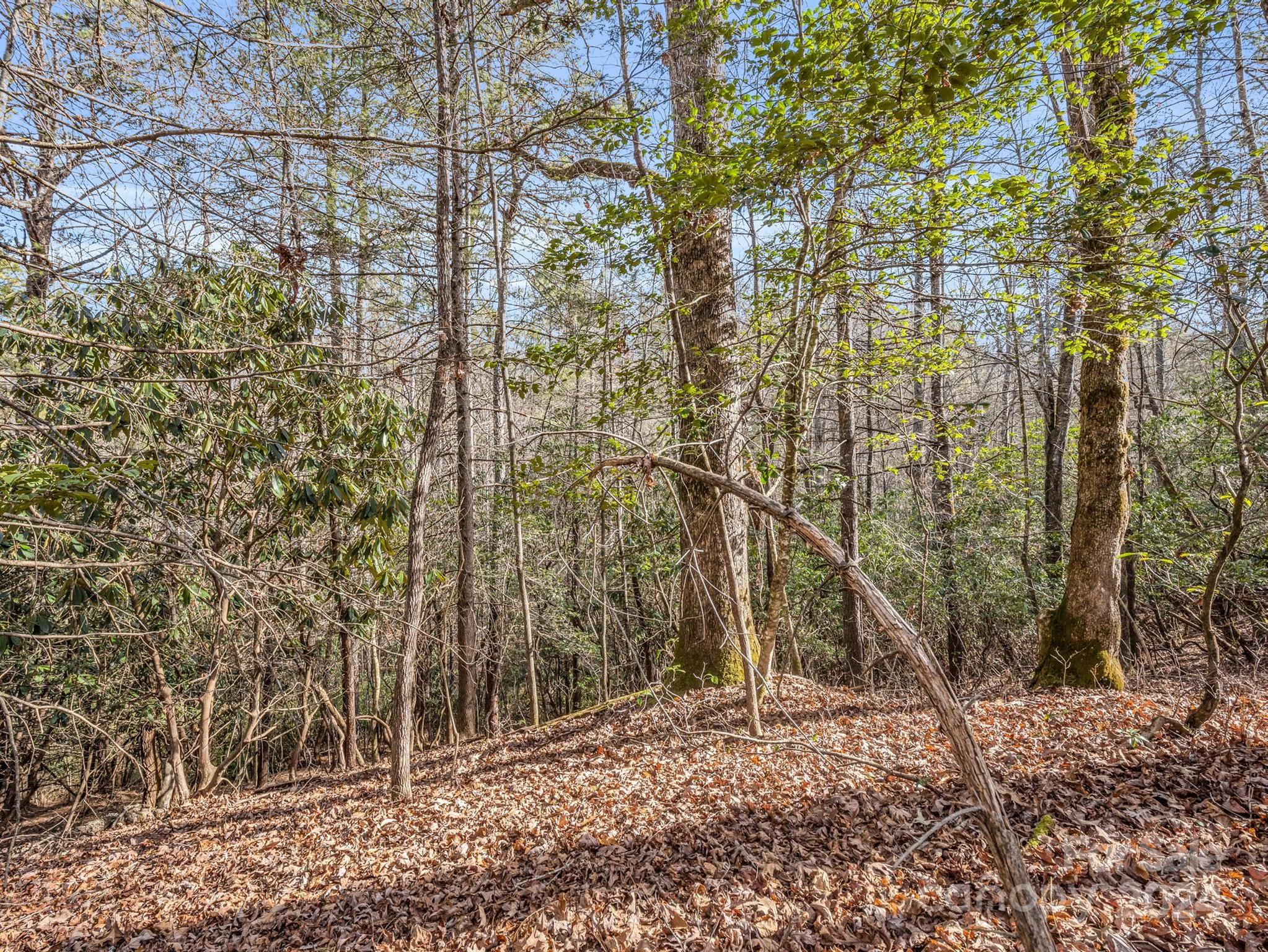 Tbd Adayahi Court Brevard NC 28712