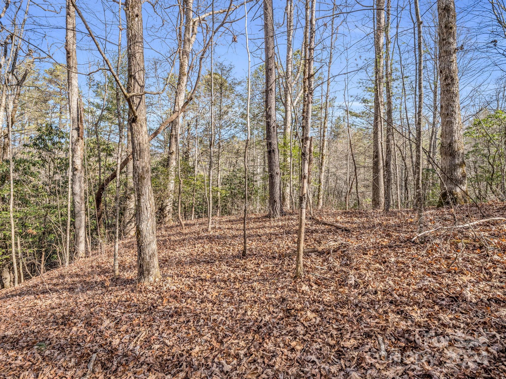 Tbd Adayahi Court Brevard NC 28712