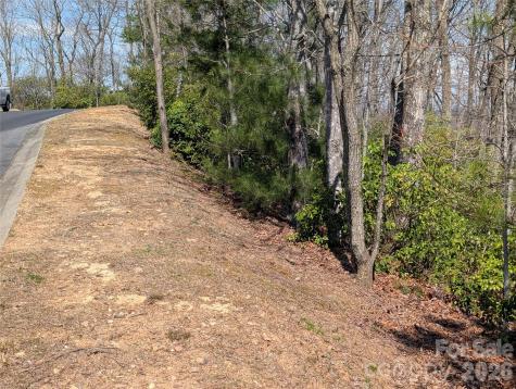 1094 Mills River Way Horse Shoe NC 28742