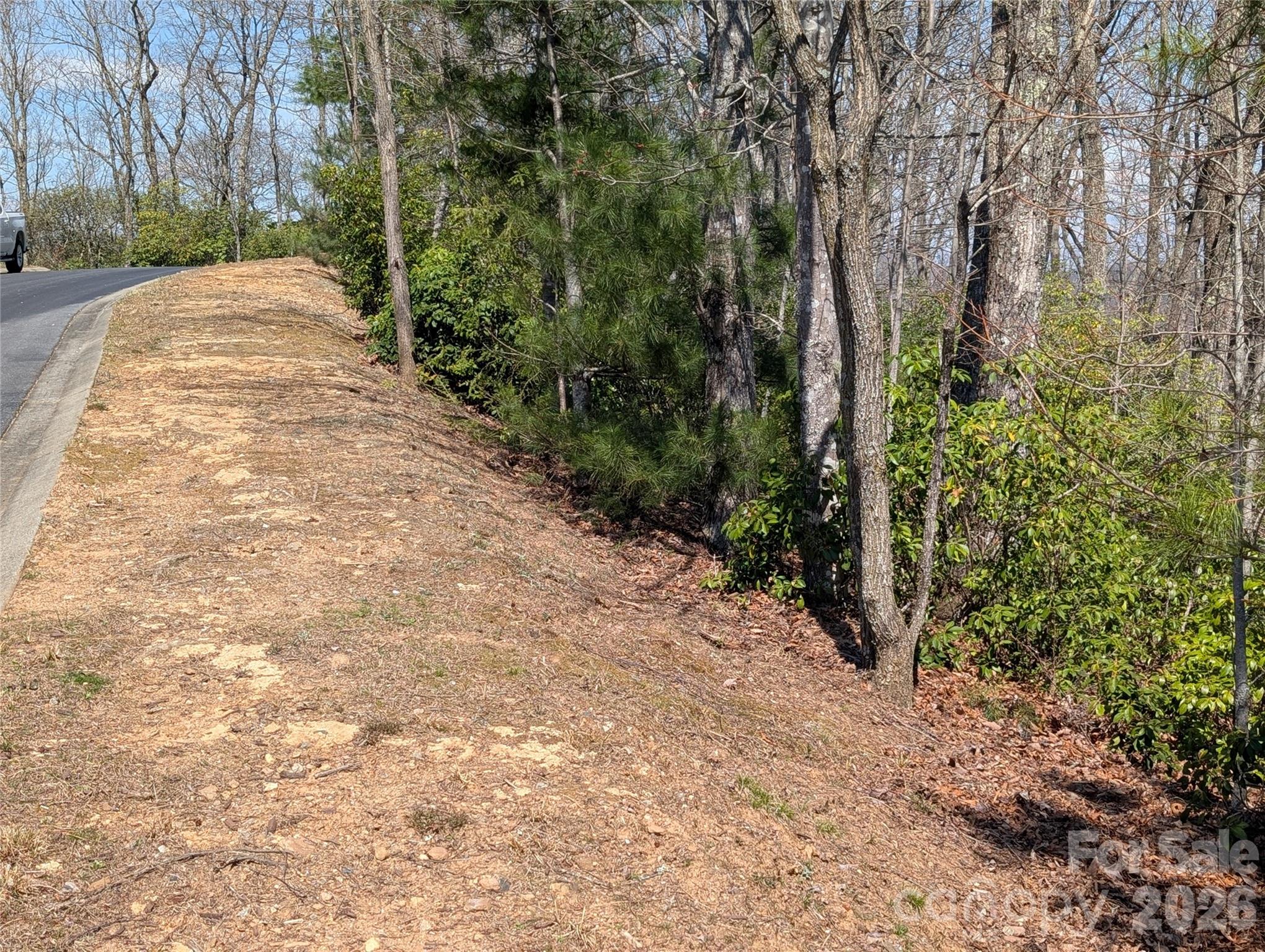 1094 Mills River Way Horse Shoe NC 28742