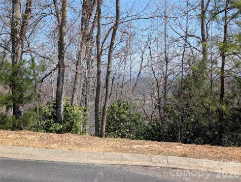 1094 Mills River Way Horse Shoe NC 28742