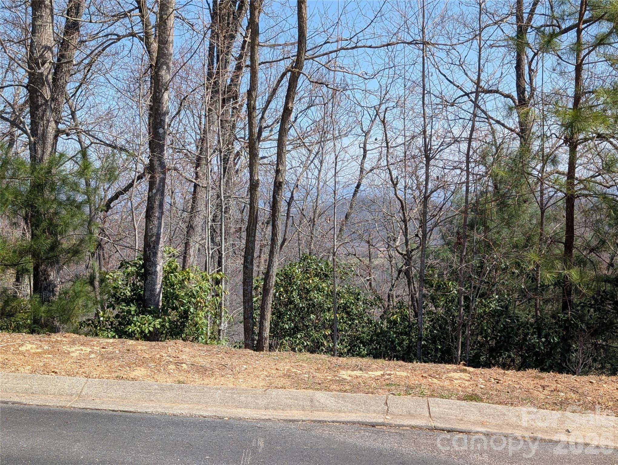 1094 Mills River Way Horse Shoe NC 28742