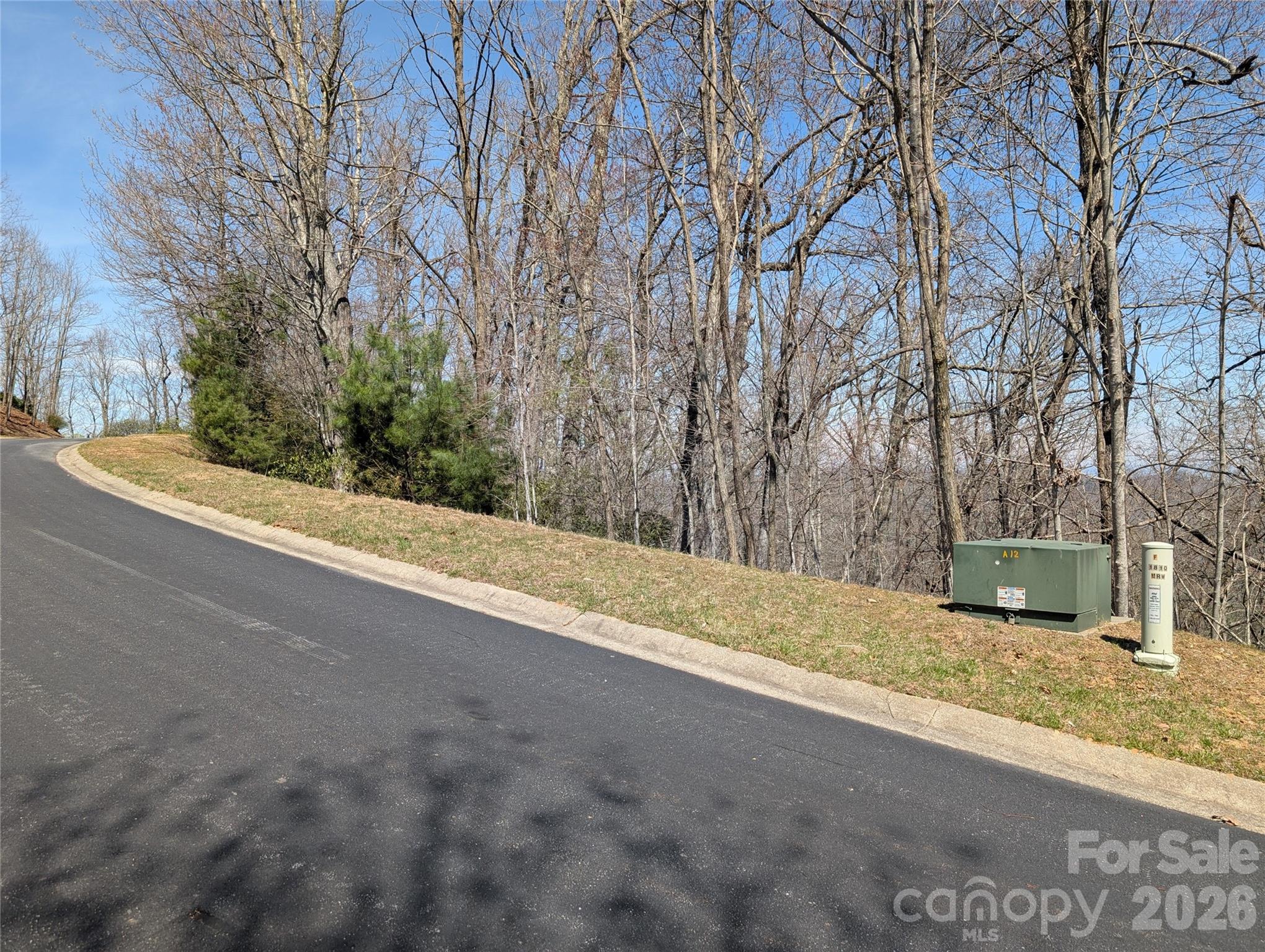 1094 Mills River Way Horse Shoe NC 28742