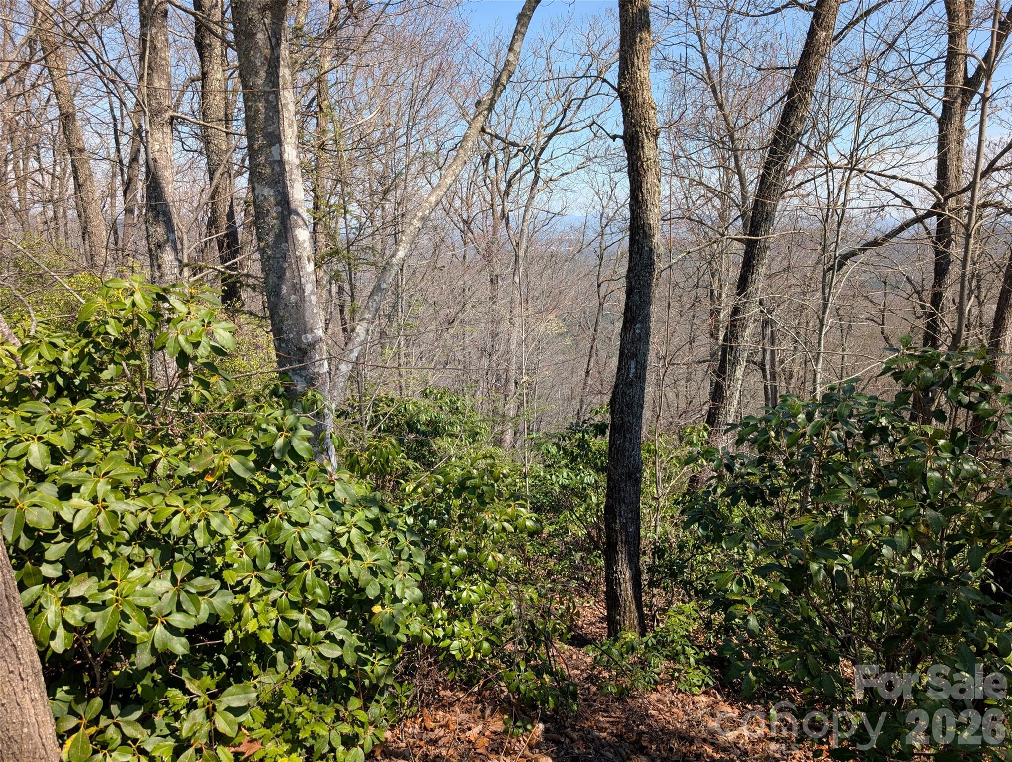 1094 Mills River Way Horse Shoe NC 28742