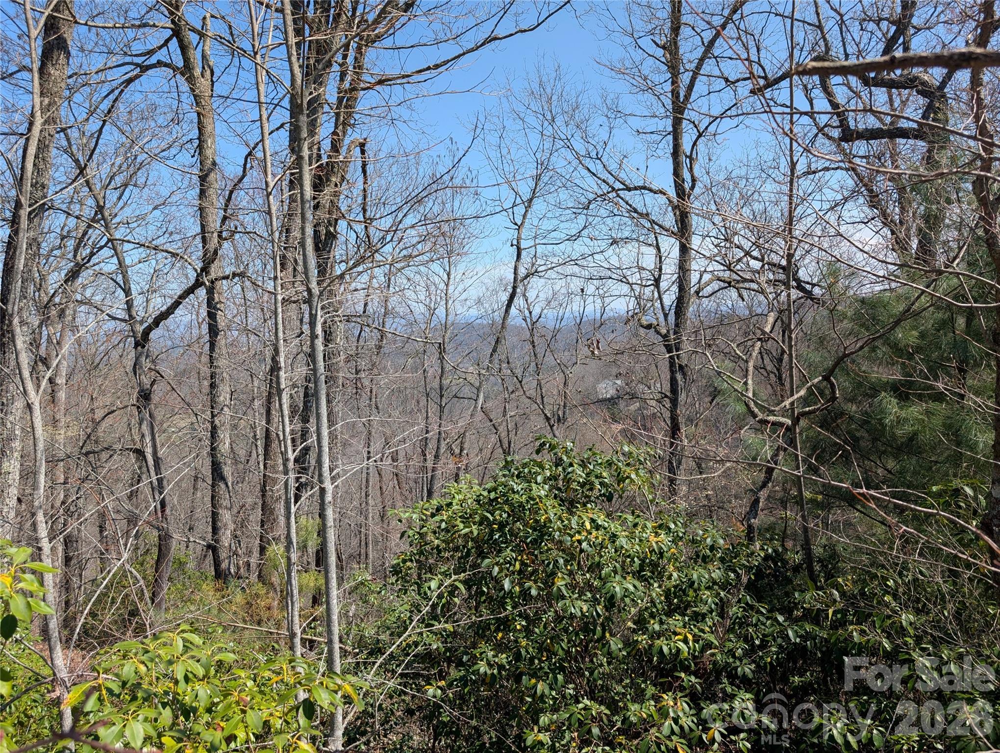 1094 Mills River Way Horse Shoe NC 28742