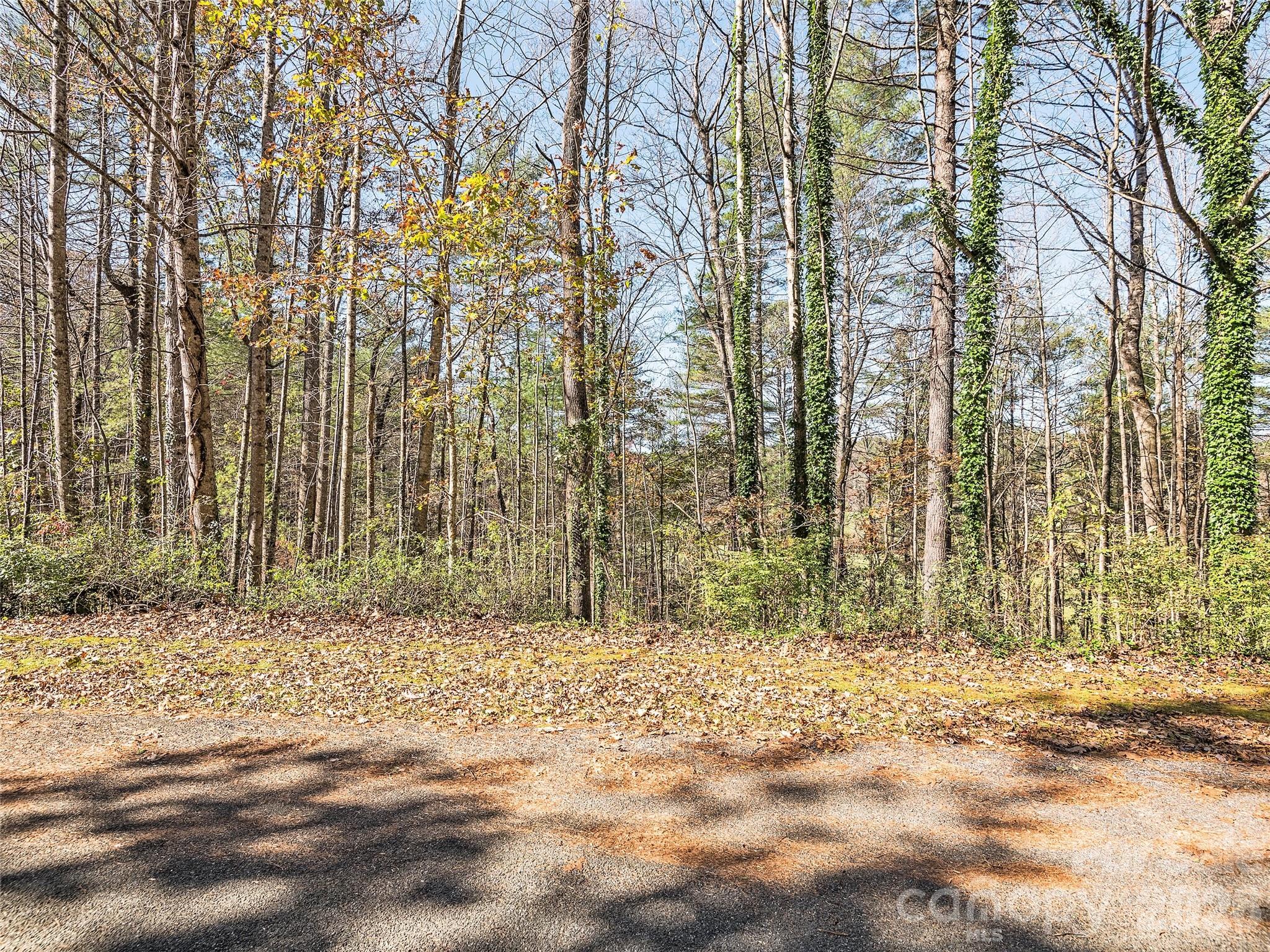 Lot 14 Mountain Lakes Drive Hendersonville NC 28739