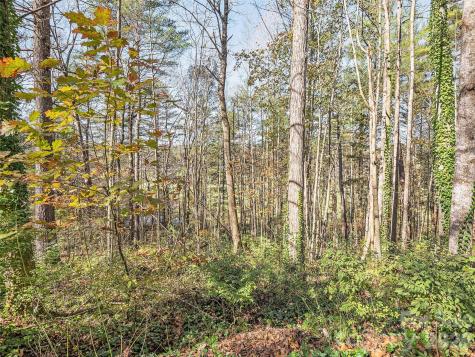 Lot 14 Mountain Lakes Drive Hendersonville NC 28739