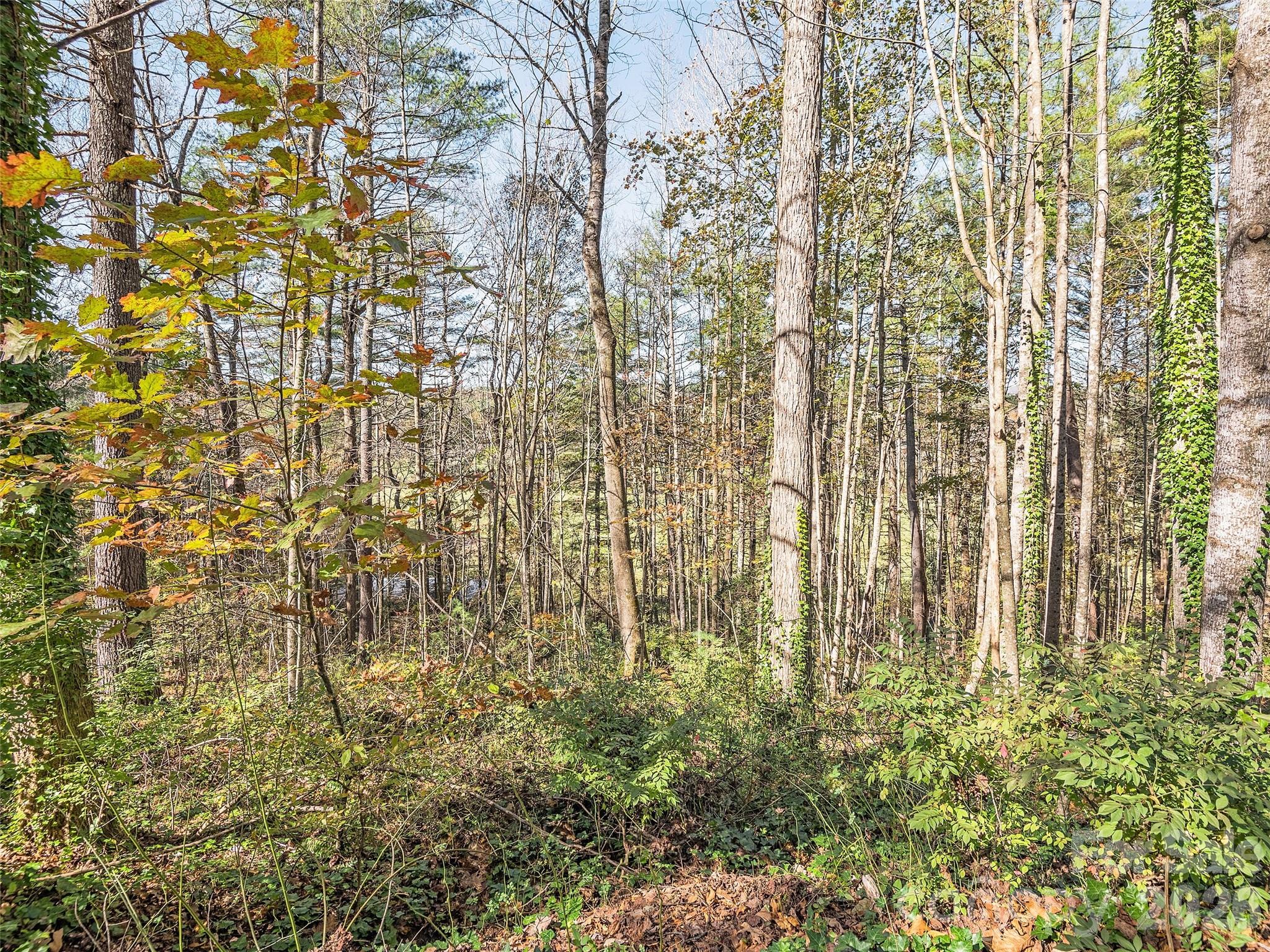 Lot 14 Mountain Lakes Drive Hendersonville NC 28739