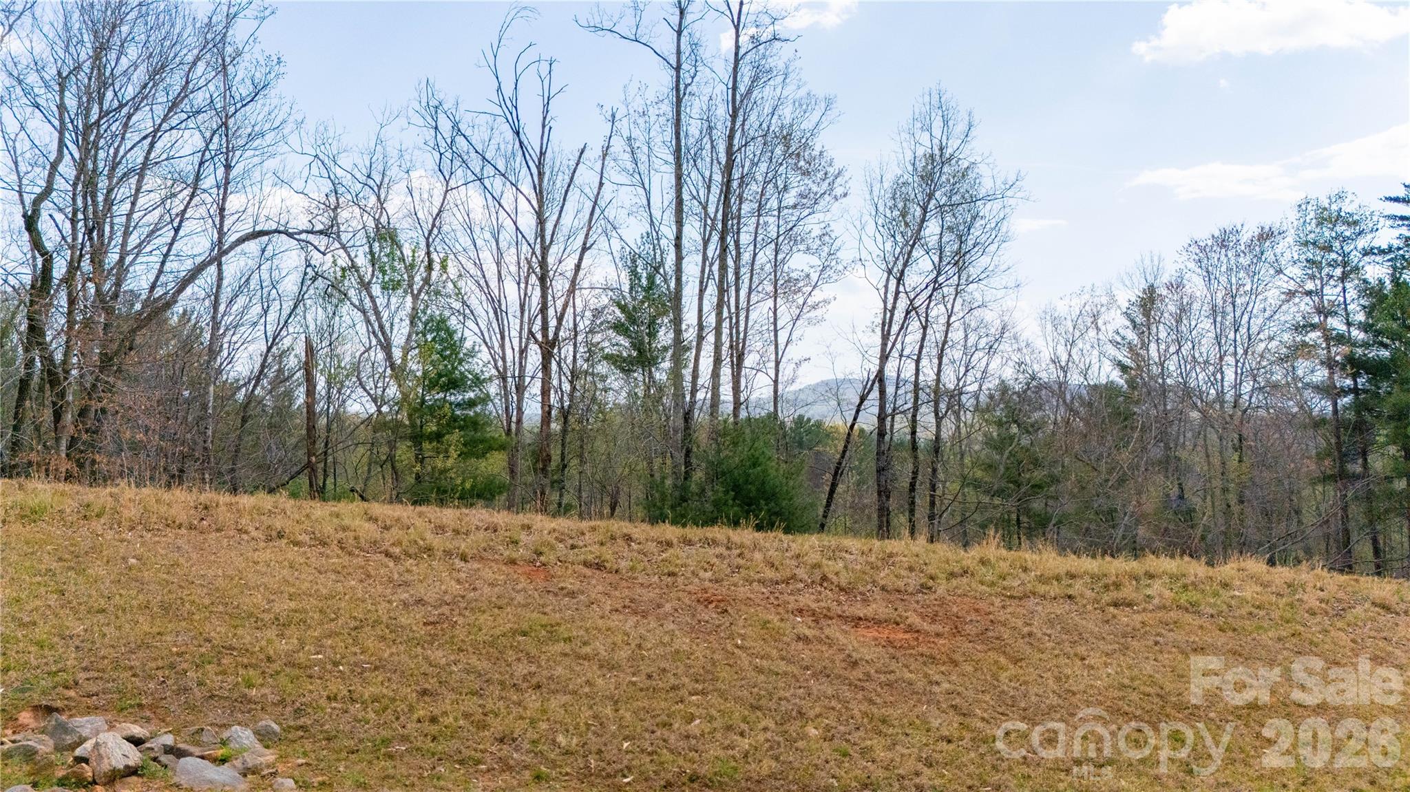 0000 High Trail Drive Nebo NC 28761