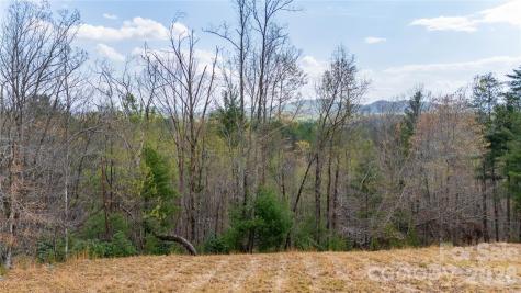 0000 High Trail Drive Nebo NC 28761