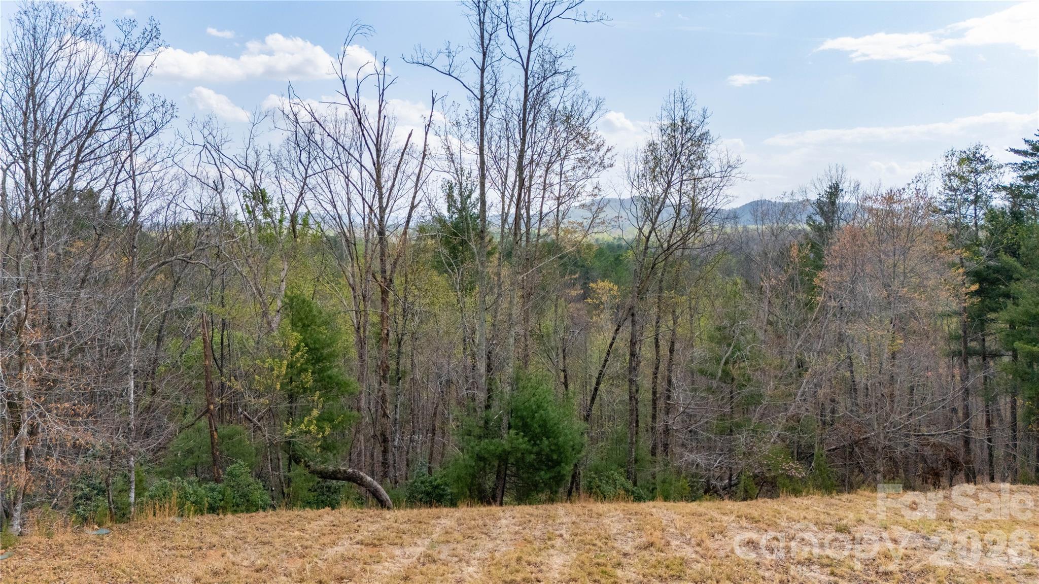 0000 High Trail Drive Nebo NC 28761