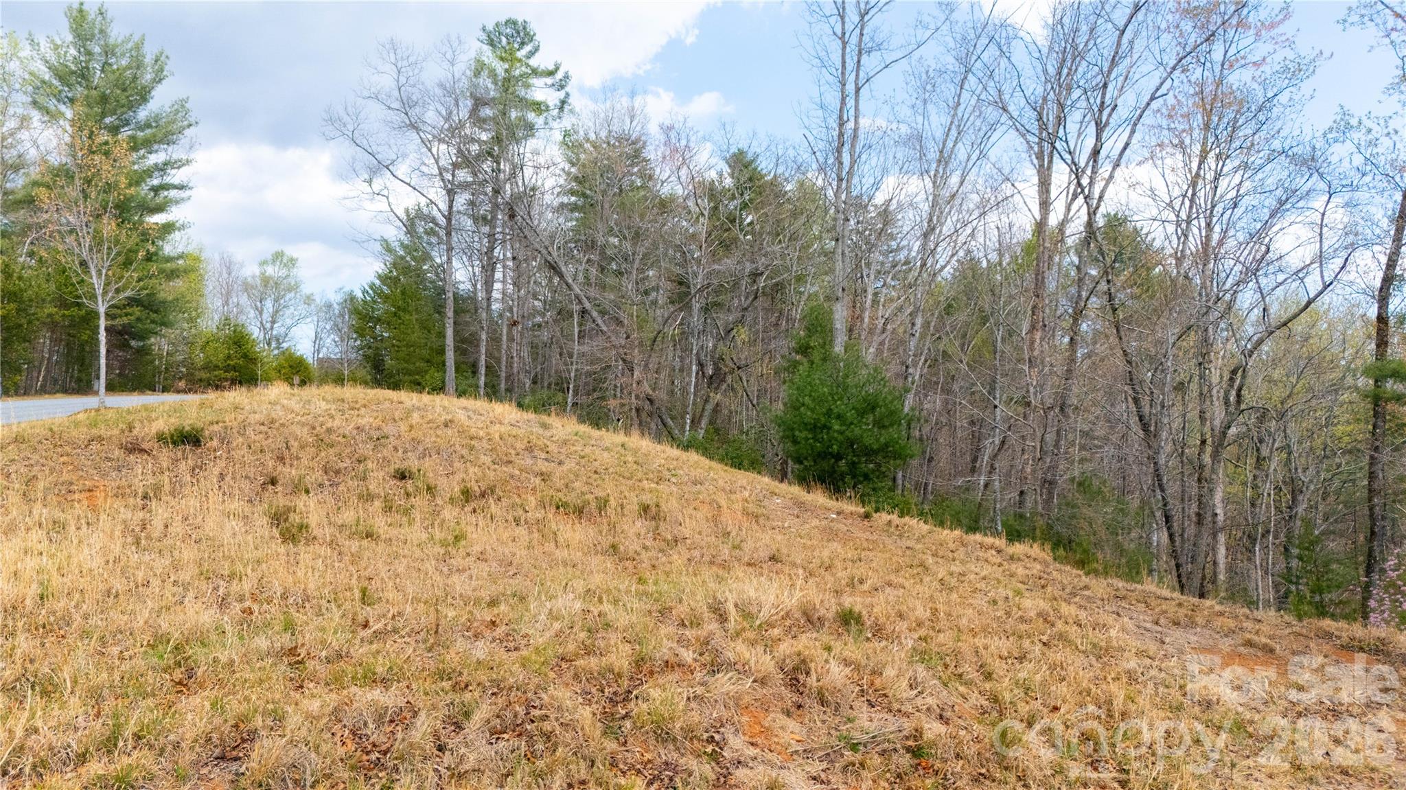 0000 High Trail Drive Nebo NC 28761