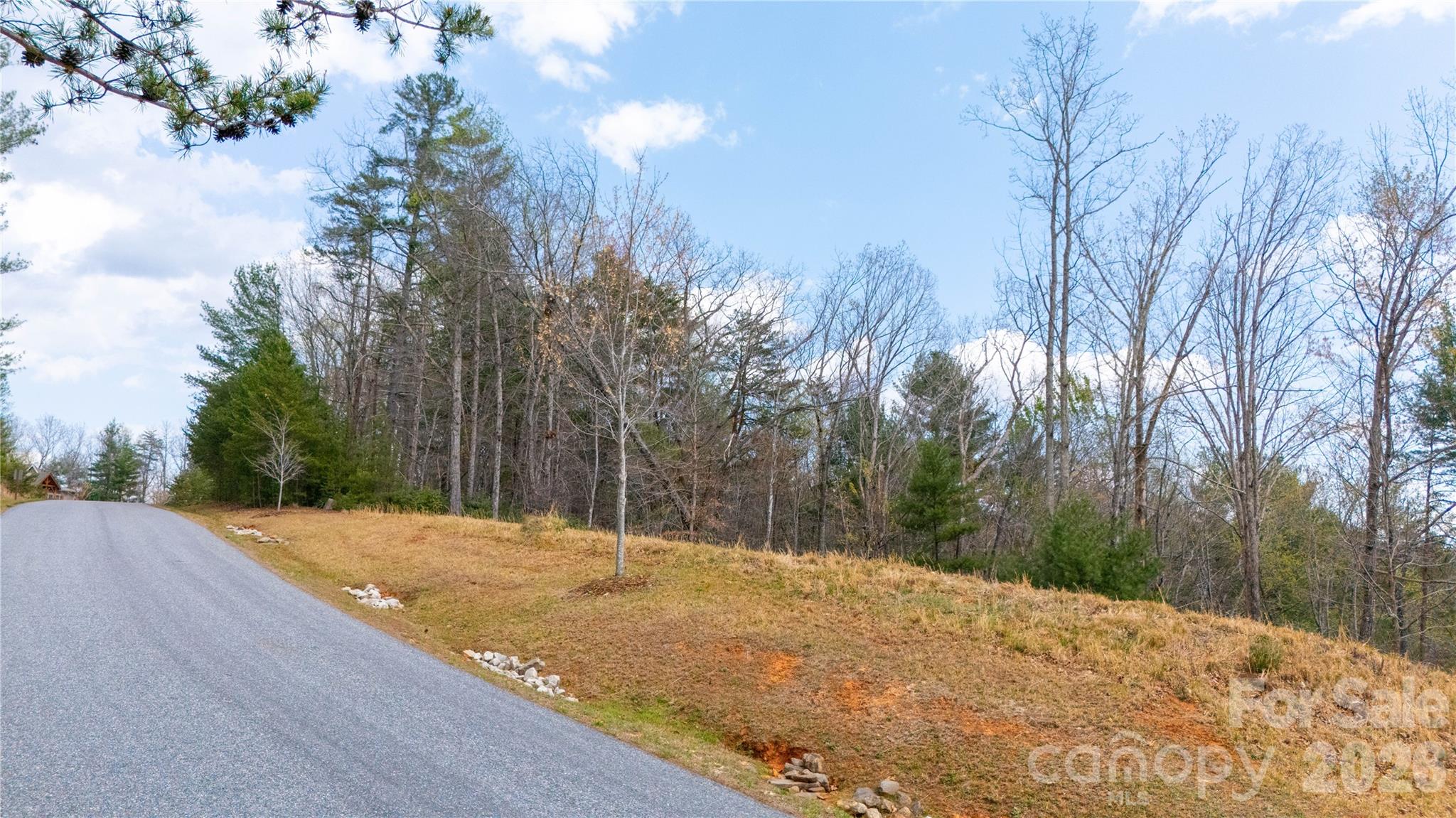 0000 High Trail Drive Nebo NC 28761