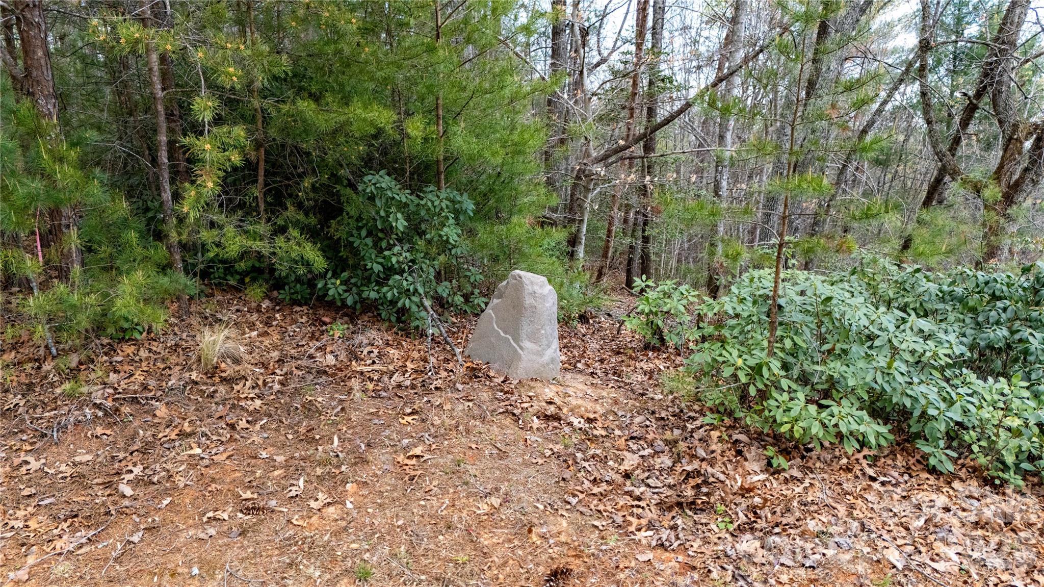 0000 High Trail Drive Nebo NC 28761