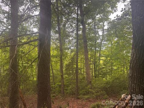 124 Parker Road Casar NC 28020