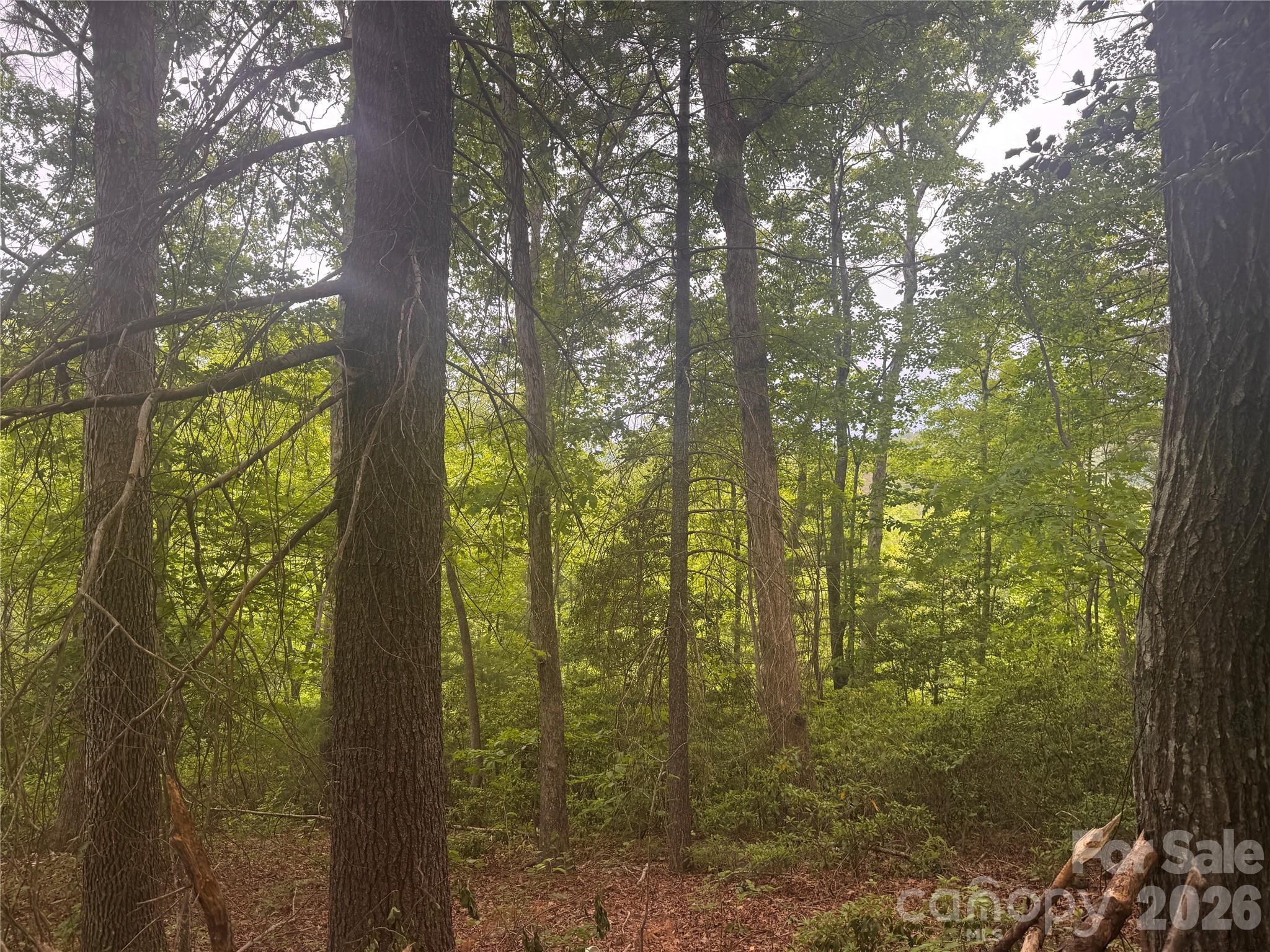 124 Parker Road Casar NC 28020