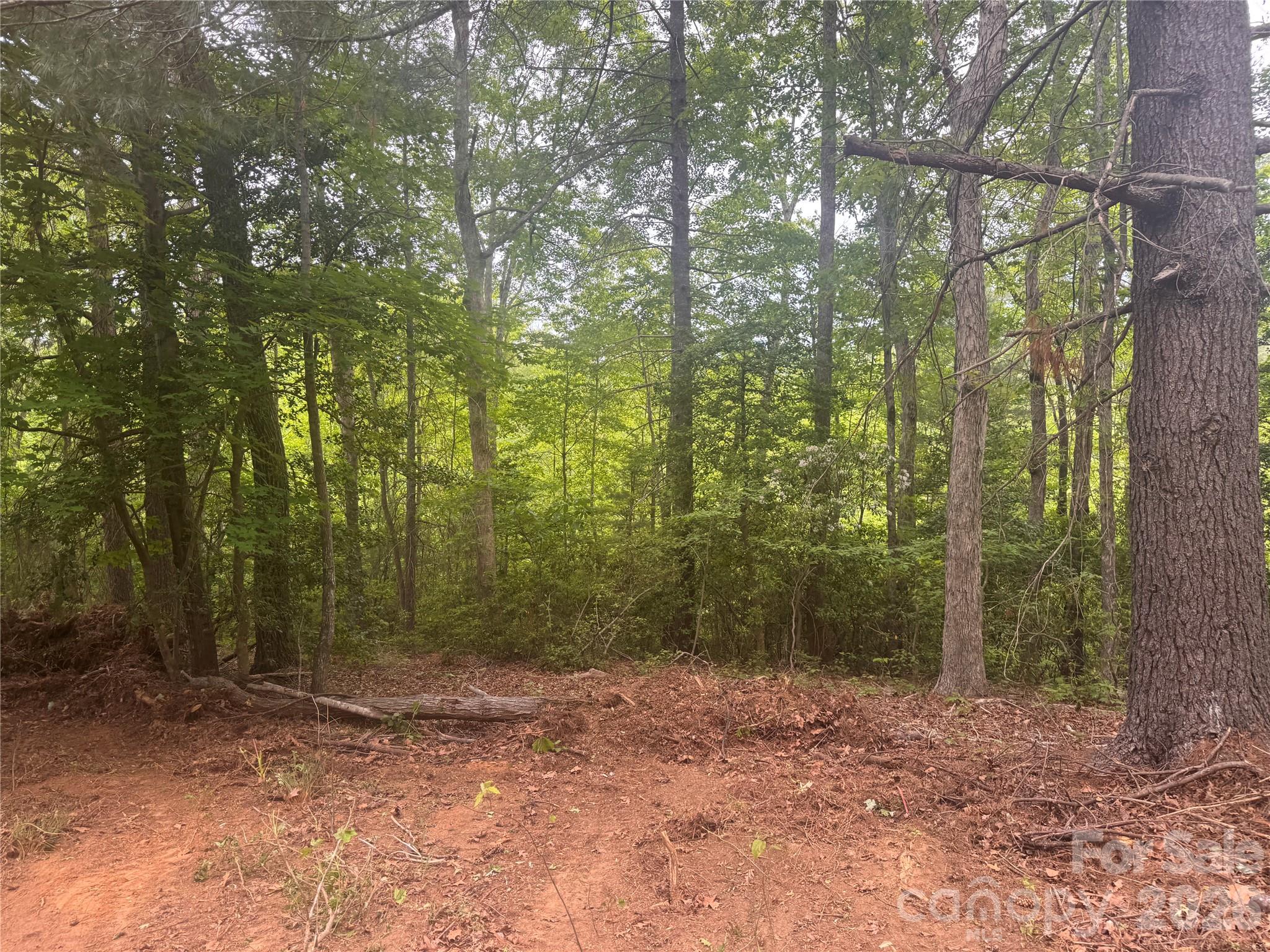124 Parker Road Casar NC 28020