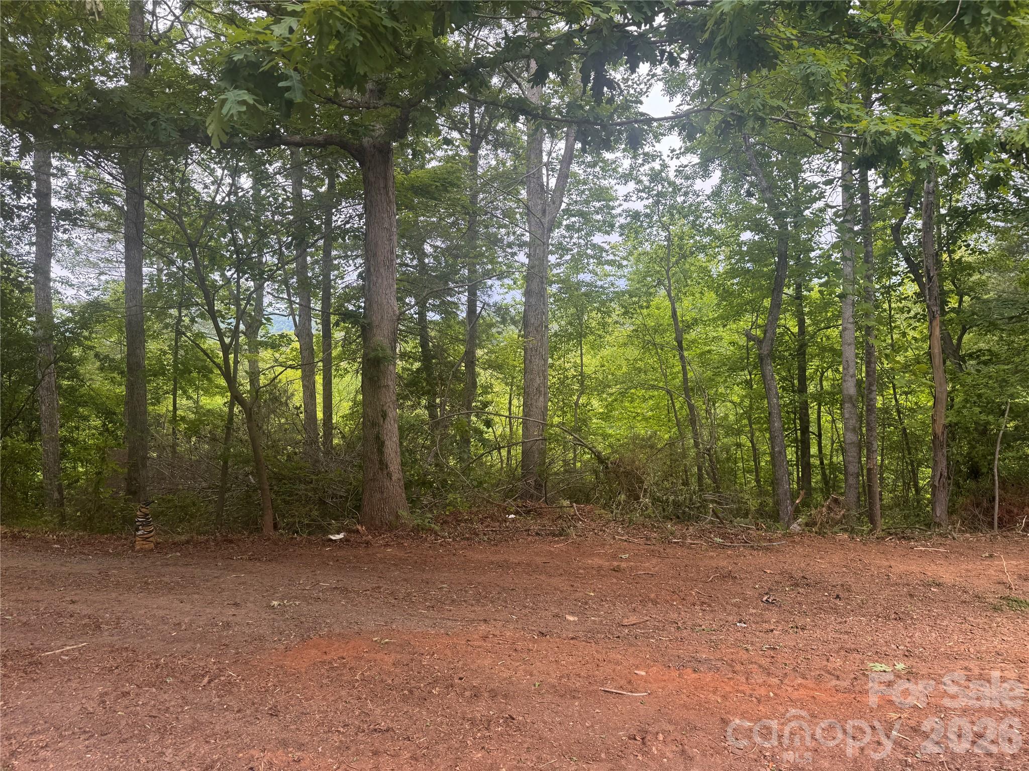 124 Parker Road Casar NC 28020
