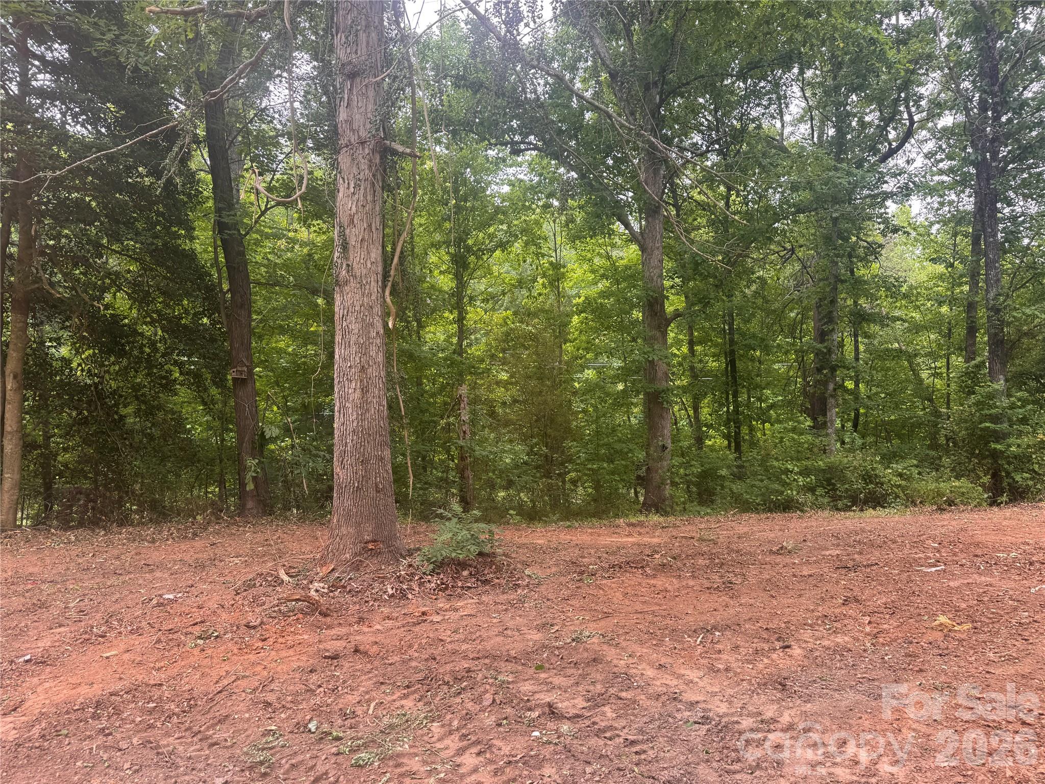 124 Parker Road Casar NC 28020