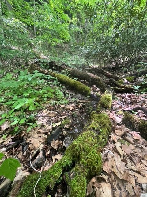 00000 Soco Road Maggie Valley NC 28751