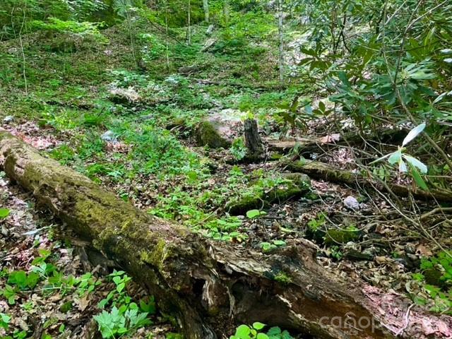 00000 Soco Road Maggie Valley NC 28751